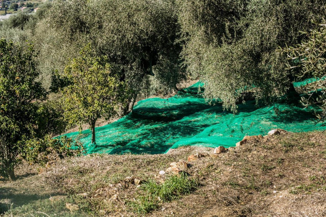 Отель Le Raganelle Oneglia Экстерьер фото